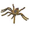 Παιχνίδι Αληθοφανής Αράχνη 5x8.5cm
