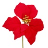 Χριστουγεννιάτικο Λουλούδι Αλεξανδρινό Κόκκινο 19εκ.