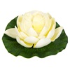 Λουλούδι Επιπλέον Νούφαρο Λευκό με Θήκη Ρεσώ Ø20cm