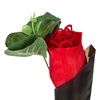 Δώρο Βαλεντίνου Λουλούδι & Εσώρουχο Γυναικείο Κόκκινο - One Size