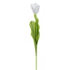Λουλούδι Διακοσμητικό Τουλίπα Λευκή 50cm