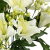 Μπουκέτο Διακοσμητικό Λευκά Άνθη 40cm