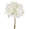 Λουλούδι Διακοσμητικό Ορτανσία Λευκή 24cm