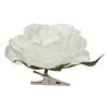 Λουλούδι Διακοσμητικό με Κλιπ Τριαντάφυλλο Λευκό 8cm