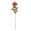 Λουλούδι Διακοσμητικό Ντάλια Ροζ Μπεζ 70cm