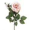 Λουλούδι Διακοσμητικό Ροζ Δίχρωμο Τριαντάφυλλο 66cm