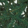 Χριστουγεννιάτικο Δέντρο Πράσινο 768 κλαδιά - 2.10m