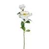 Λουλούδι Διακοσμητικό με Μακρύ Κοτσάνι Καμέλια Λευκή 66cm