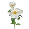 Λουλούδι Διακοσμητικό με Μακρύ Κοτσάνι Καμέλια Λευκή 66cm