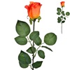Λουλούδι Διακοσμητικό Τριαντάφυλλο Πορτοκαλί 60cm